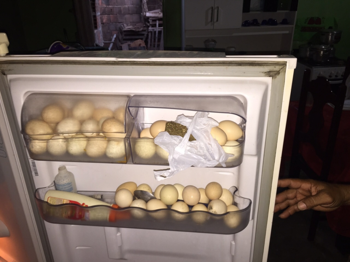 Droga estava escondida em um refrigerador (Foto: Divulgação)