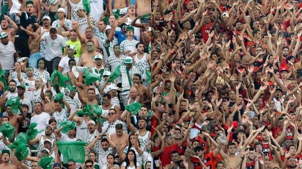 Palmeiras e Flamengo estão faturando alto com programas de sócio-torcedor